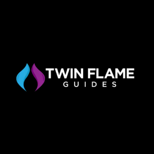 Twin Flame Logo
